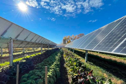 Screenshot 2025-08-21 093844