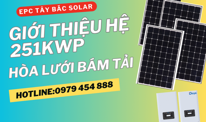 Hệ-151kwp-hoa-luoi-bam-tai-tai-ha-noi
